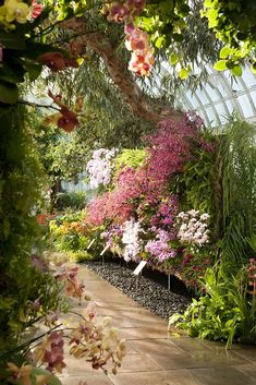 the inside of a greenhouse filled with lots of flowers