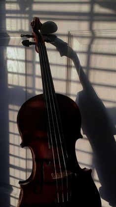 a violin leaning against a wall in the sunlight