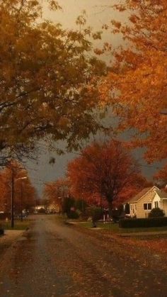 a street with houses and trees in the fall