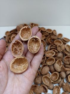 a person is holding some nuts in their hand and it looks like they have been peeled