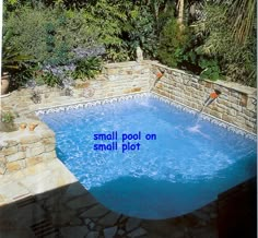 small pool on small plot surrounded by greenery and stone walls with blue text that reads small pool on small plot surrounded by greenery and stone wall