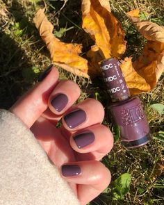 Dnd Gel Polish Colors Fall Orange, September Nails Color Fall Dnd, Fall Nails Dc Gel, Dnd Fall Color Nails, Dnd Ombre Nails, Dnd Pewter Gray, Fall Nail Colors Gel Polish Short Nails, 3 Colored Nails, Cool Nail Polish Colors