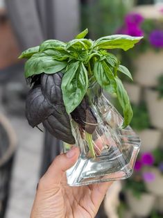 a person holding up a glass vase filled with flowers in it's palm hand