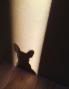 the shadow of a dog's head on a wall