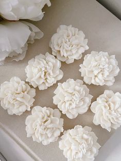 several white flowers sitting on top of a table