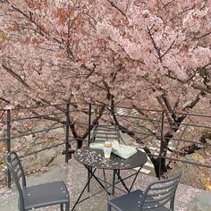 an outdoor table and chairs under cherry blossom trees