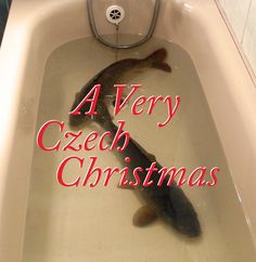 a very cute looking fish in a bathtub with the words 4 very czech christmas