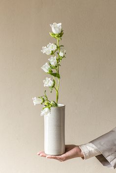 a person holding a white vase with flowers in it's palm, against a beige wall