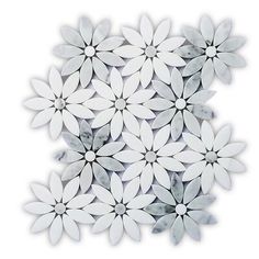 white flowers are arranged in the shape of a circle on a white background with black dots