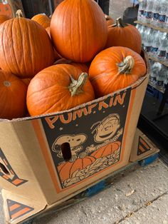 pumpkins sitting in a cardboard box on the sidewalk