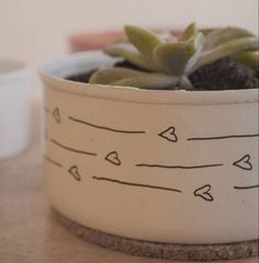 a potted plant sitting on top of a wooden table next to a white cup