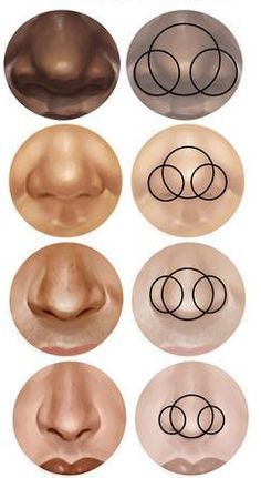 an image of different types of nose shapes