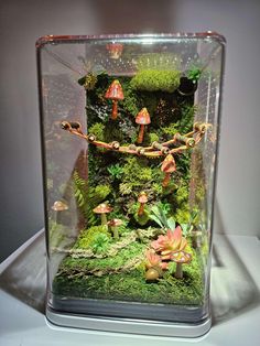 a glass container filled with plants and mushrooms