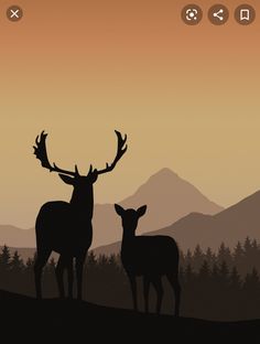 two deer standing next to each other on a hill