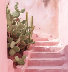 there is a cactus on the steps in front of some pink walls and stairs that lead up to it