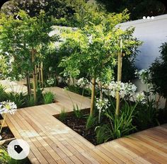 a wooden deck surrounded by white flowers and trees