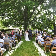 a couple getting married under a large tree