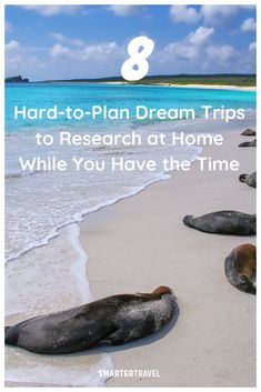 sea lions laying on the beach with text overlay that reads 8 hard - to - plan dream trips to research at home while you have the time