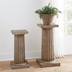 two stone pedestals with a plant in them