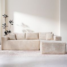 a living room with a white couch and two pillows on the floor next to a potted plant