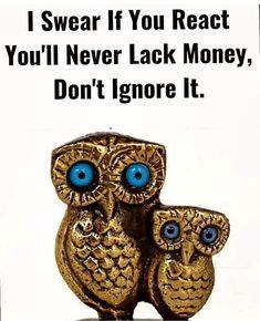 two gold owls with blue eyes sitting next to each other