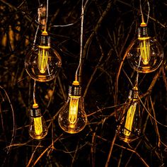 several light bulbs hanging from a tree in the dark