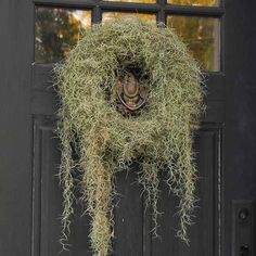 a door with moss hanging from it's side