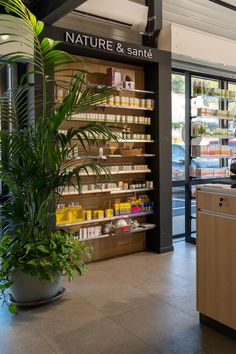 the inside of a store with shelves and plants