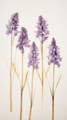 some purple flowers are in the middle of a white background with gold stems and leaves