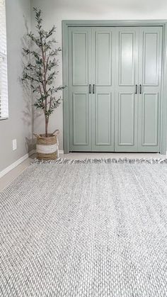 an empty room with green cabinets and a white rug