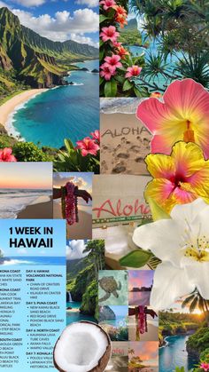 a collage of pictures with flowers, coconuts and the words 1 week in hawaii