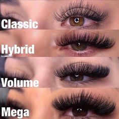 Natural Fake Eyelashes, Lashes Fake Eyelashes, Russian Volume Lashes, Eyelash Tips, Eyelash Technician, Cat Eye Lash, Eyelash Extensions Styles, Lash Extensions Styles, Perfect Eyelashes