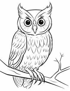 Owl Coloring Pages - Build Essential Skills Mindfulness Routine, Owl Templates, Practicing Mindfulness, Best Rock, Mindfulness Practice, Play Activities