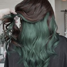 Light Brown Peekaboo Highlights, Sage Green Peekaboo Hair, Dark Green Hair Styles, Peekaboo Dyed Hair For Brunettes, Dieing Hair Ideas, Dark Brown And Dark Green Hair, Blonde With Green Underneath, Green Dyed Hair Underneath, Black And Green Peekaboo Hair