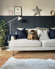 a dog sitting on top of a couch in a living room