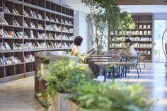 two women are sitting at tables in the library