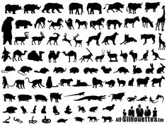 the silhouettes of different animals and birds