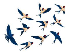 a flock of birds flying in the sky with their wings spread out and facing different directions