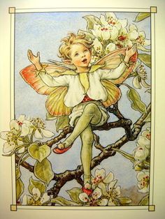 Rene Cloke, Pear Blossom, Fairy Book