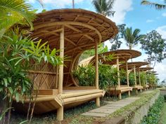 a row of wooden benches sitting next to each other near trees and plants on the side of a road