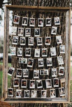 a tree with pictures hanging from it's branches in front of a wooden frame