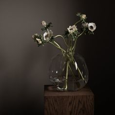 three white flowers in a clear vase on a wooden stand against a dark wall background