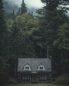 a small house in the middle of a forest with tall trees behind it and foggy skies overhead