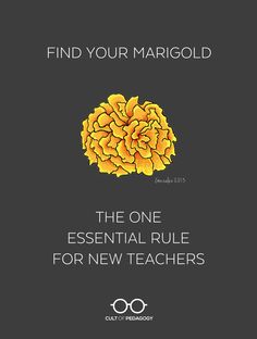 a poster with the words find your margold and an image of a yellow flower