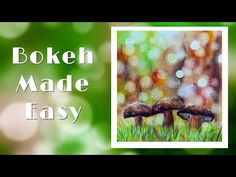 two mushrooms sitting in the grass with bokeh made easy text overlaying them