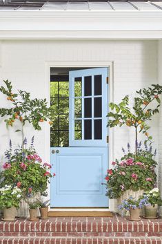 a blue front door surrounded by potted plants