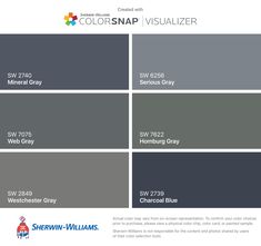 the color scheme for colorsnap visualizer is shown in gray, white and grey