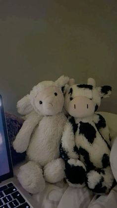 two stuffed animals sitting next to a laptop computer