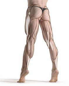 an image of a man's legs showing muscles