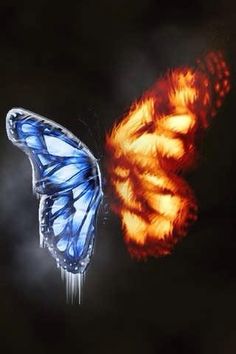 two butterflies flying side by side in the night sky, one is orange and the other is blue